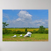 Poster van Shell (Voorkant)