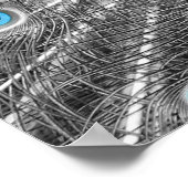 Poster van Silver en Turquoise Peacock (Hoek)