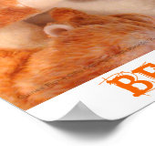 Poster van Skippy Pig en Roo Stuffy (Hoek)