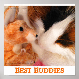 Poster van Skippy Pig en Roo Stuffy