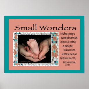 Poster van Small Wonders