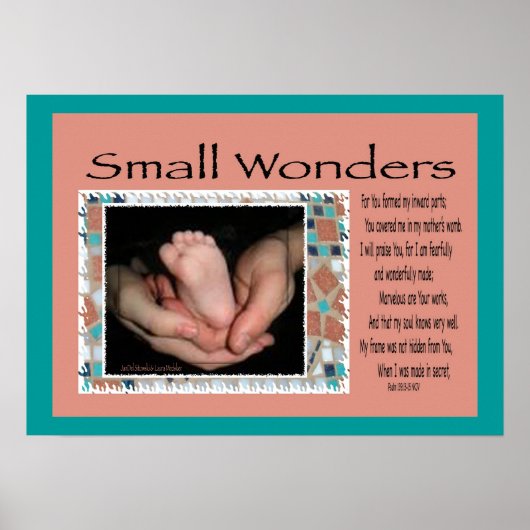 Poster van Small Wonders (Voorkant)