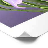 Poster van Smeraldo-bloem (Hoek)