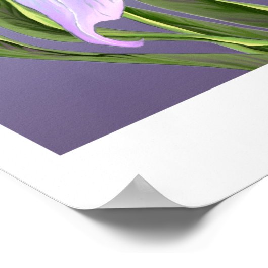 Poster van Smeraldo-bloem (Hoek)