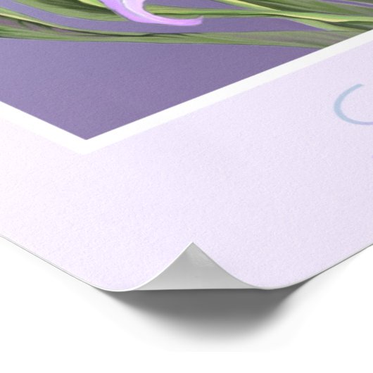 Poster van Smeraldo-bloem (Hoek)