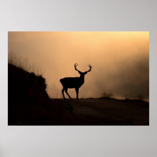 Poster van Solitary Red Stag/afdrukken (Voorkant)