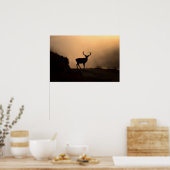 Poster van Solitary Red Stag/afdrukken (Keuken)