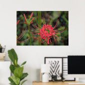 Poster van Spider Lily (Thuiskantoor)