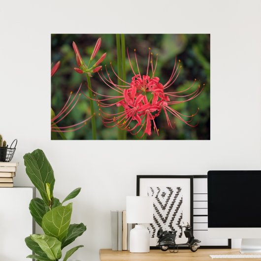 Poster van Spider Lily (Thuiskantoor)