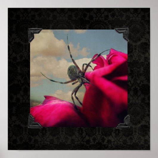 Poster van Spin en Red Rose Halloween (Voorkant)