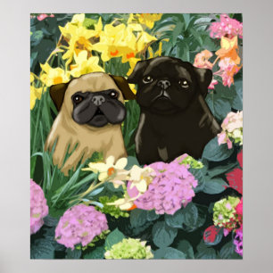 Poster van Spring Pugs van Amy Cappelli