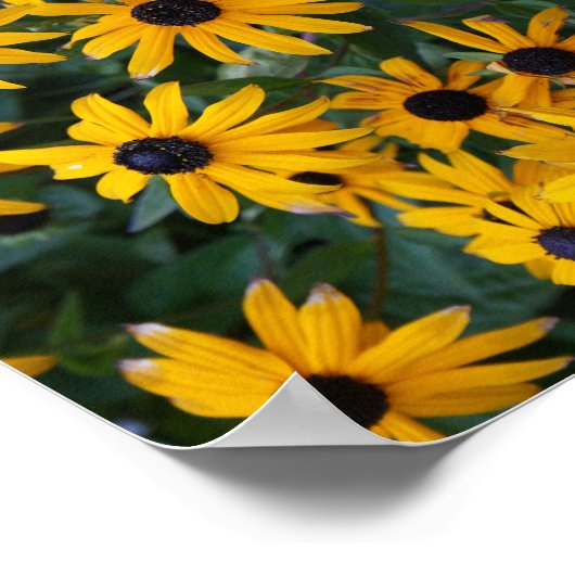 Poster van Susan Flowers (Hoek)