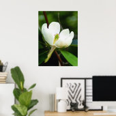 Poster van Swamp Magnolia (Thuiskantoor)