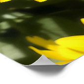 Poster van Tansy Rosenweed (Hoek)