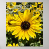 Poster van Tansy Rosenweed (Voorkant)