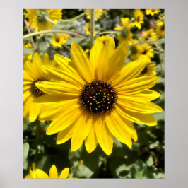 Poster van Tansy Rosenweed