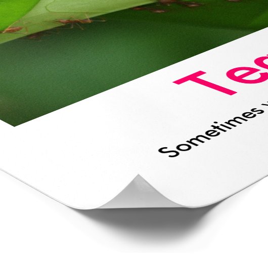 POSTER VAN TEAMWORK-demotivering (Hoek)