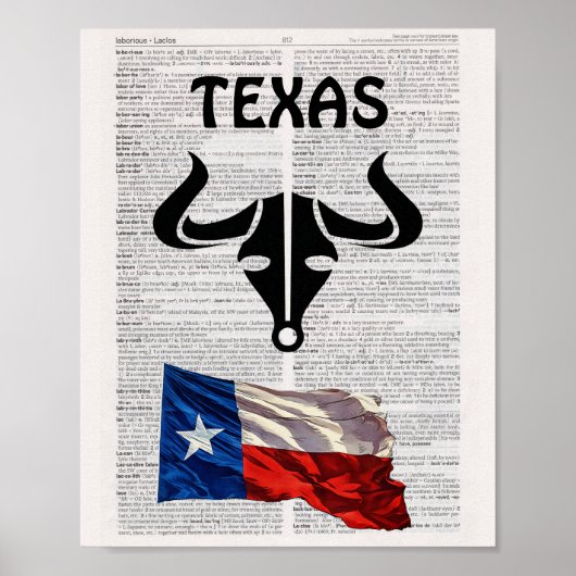 POSTER VAN TEXAS (Voorkant)