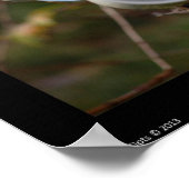 Poster van thee en boeken (Hoek)