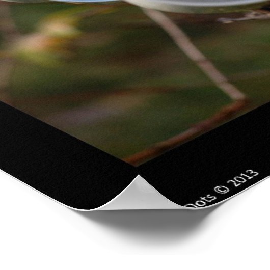 Poster van thee en boeken (Hoek)