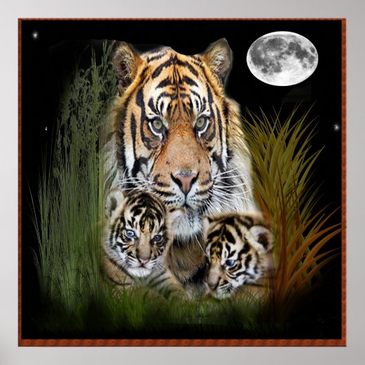 Poster van tijger en kubs (Voorkant)
