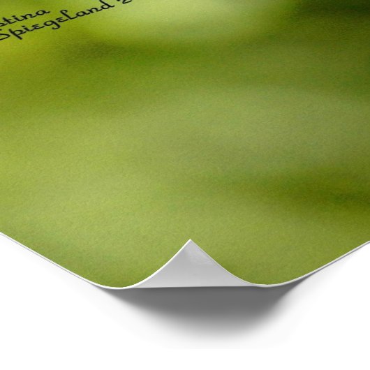 Poster van trekvogels (Hoek)