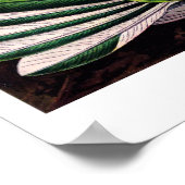 Poster van Trochilidae (Hoek)