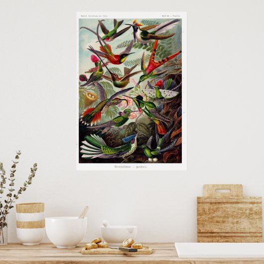 Poster van Trochilidae (Keuken)