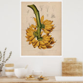  Poster van tropische bananen (Keuken)