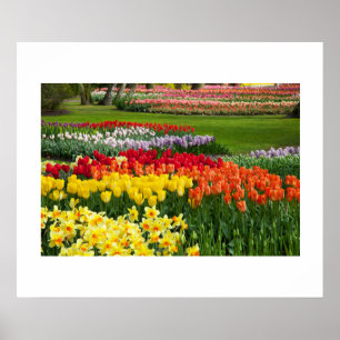 Poster van tuinbloemen