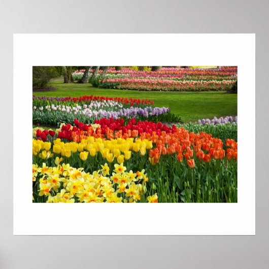 Poster van tuinbloemen (Voorkant)