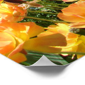 Poster van tuinbouwbloemen (Hoek)