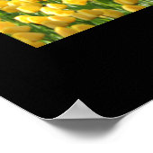 Poster van tuinbouwbuizen (Hoek)