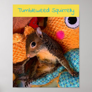 Poster van tumbleweed