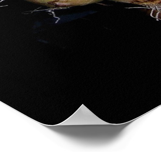 Poster van uien (Hoek)