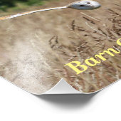 Poster van vliegende schuur tijdens de vlucht (Hoek)