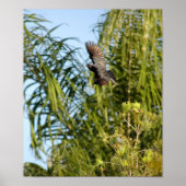 Poster van vliegende stollen (Voorkant)