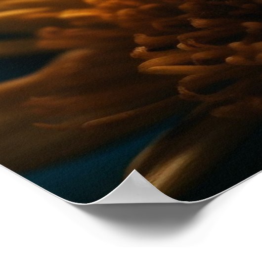 Poster van vlinder (Hoek)