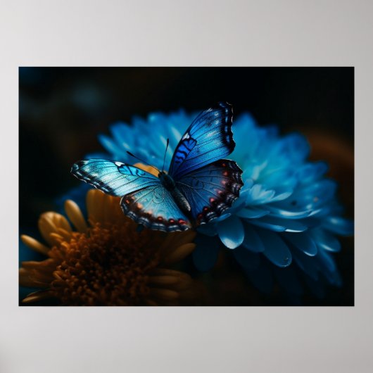 Poster van vlinder (Voorkant)