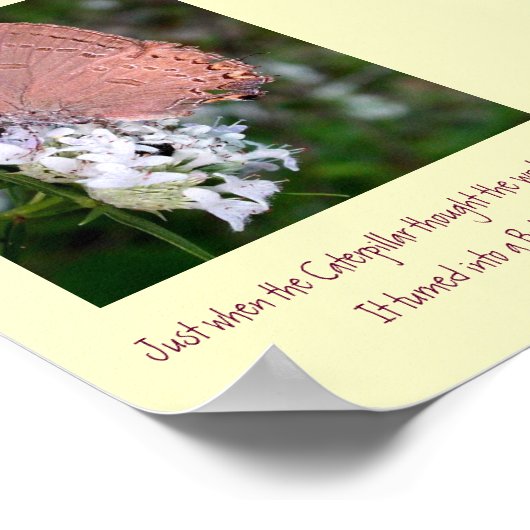 Poster van vlinder (Hoek)