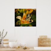 Poster van vlinder (Keuken)