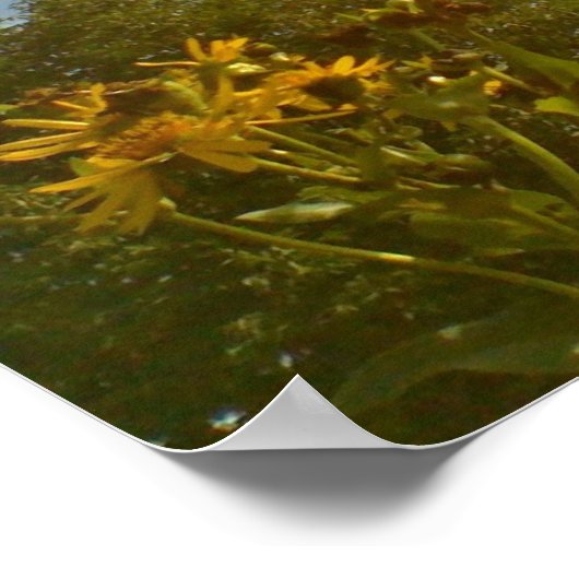 Poster van vlinder (Hoek)