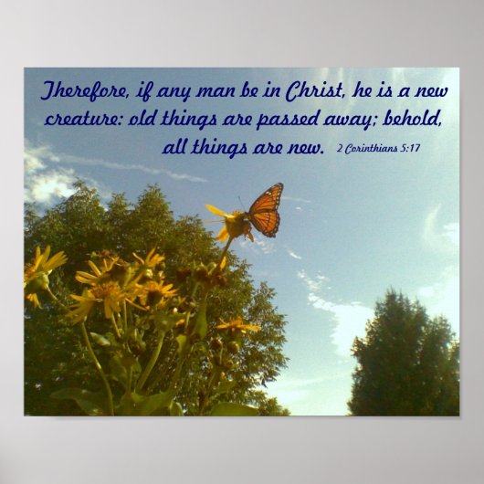 Poster van vlinder (Voorkant)