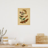  Poster van vlinder (Kitchen)