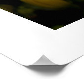 Poster van vlinder (Hoek)