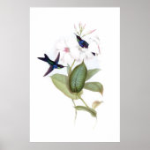 Poster van vogels (Voorkant)