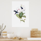 Poster van vogels (Keuken)
