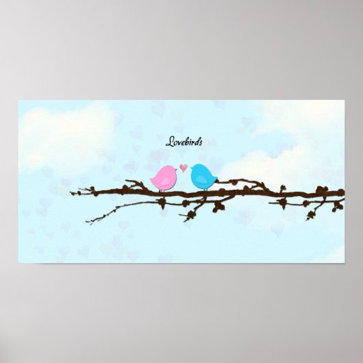 Poster van vogels (Voorkant)