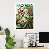 Poster van vogels (Thuiskantoor)