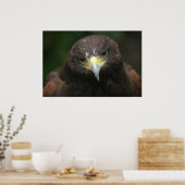 Poster van vogels 13 (Keuken)